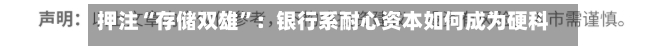 押注“存储双雄”：银行系耐心资本如何成为硬科技背后推手？-第3张图片
