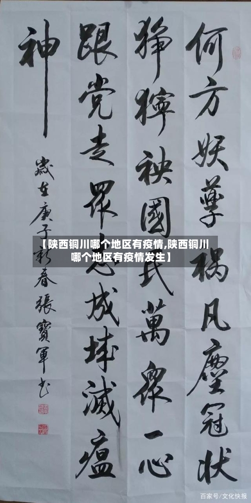 【陕西铜川哪个地区有疫情,陕西铜川哪个地区有疫情发生】-第2张图片