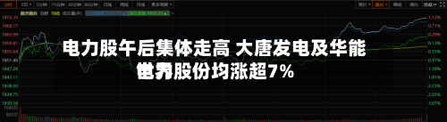 电力股午后集体走高 大唐发电及华能世界电力股份均涨超7%