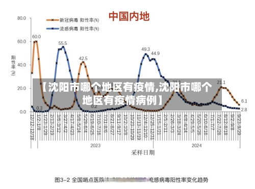 【沈阳市哪个地区有疫情,沈阳市哪个地区有疫情病例】-第2张图片