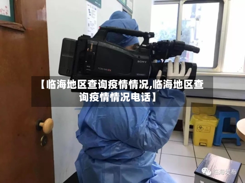 【临海地区查询疫情情况,临海地区查询疫情情况电话】-第3张图片