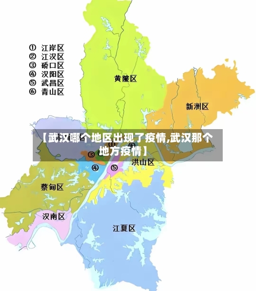 【武汉哪个地区出现了疫情,武汉那个地方疫情】-第2张图片