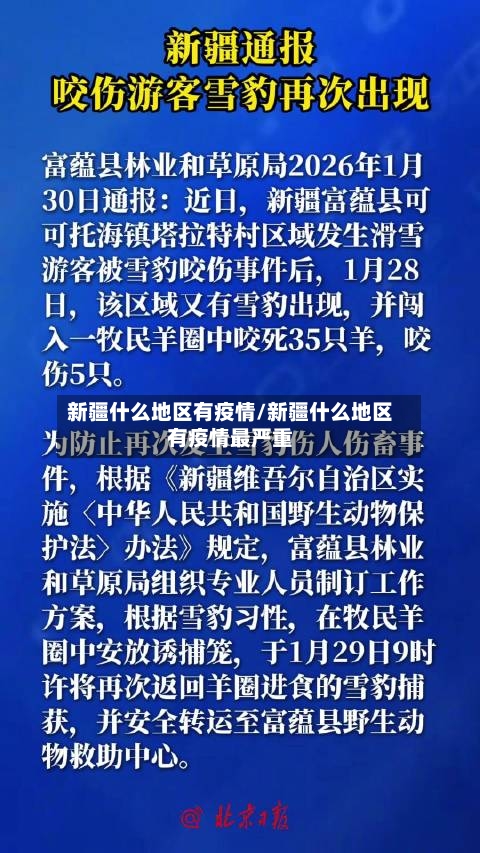 新疆什么地区有疫情/新疆什么地区有疫情最严重-第3张图片