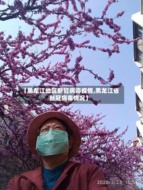 【黑龙江地区新冠病毒疫情,黑龙江省新冠病毒情况】
