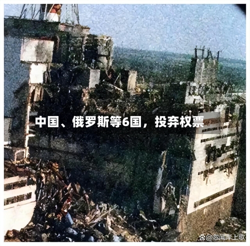 中国、俄罗斯等6国，投弃权票-第3张图片