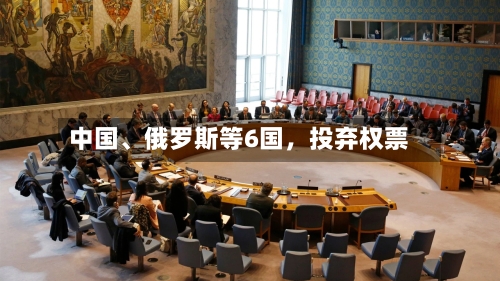 中国	、俄罗斯等6国，投弃权票-第2张图片