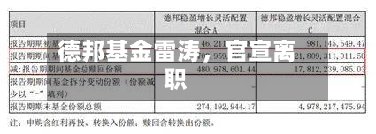 德邦基金雷涛，官宣离职-第3张图片