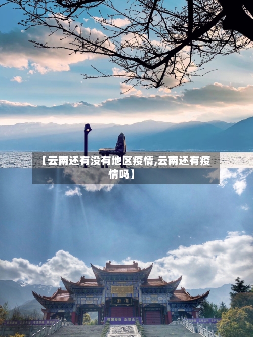 【云南还有没有地区疫情,云南还有疫情吗】-第3张图片