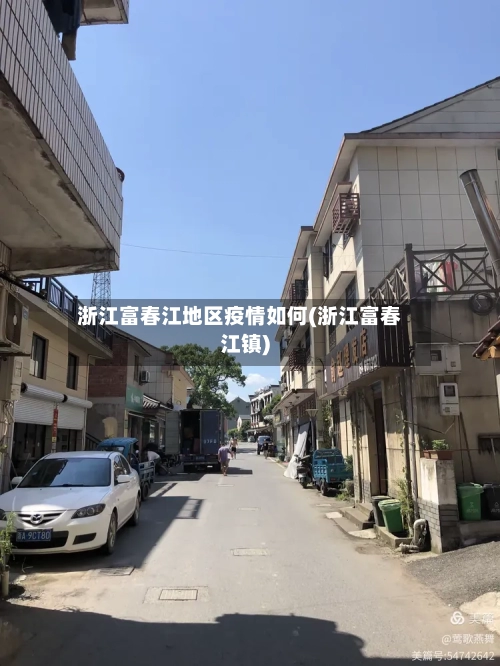 浙江富春江地区疫情如何(浙江富春江镇)-第2张图片