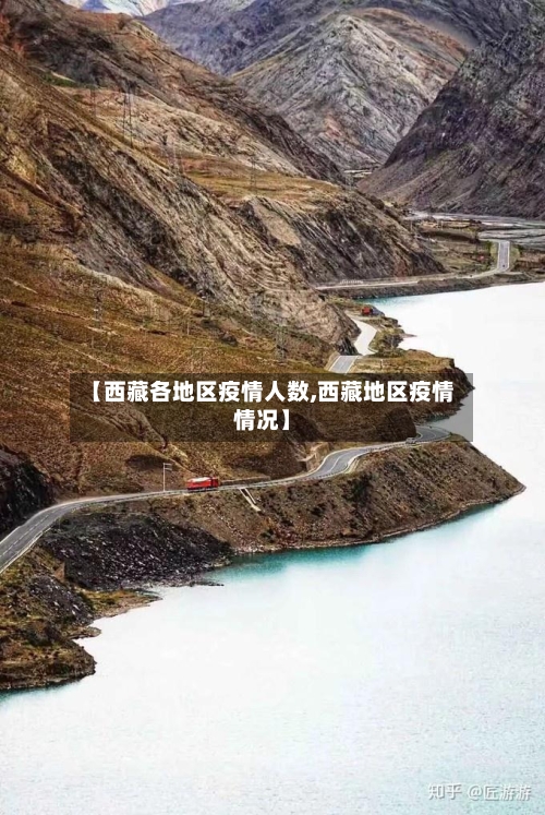 【西藏各地区疫情人数,西藏地区疫情情况】