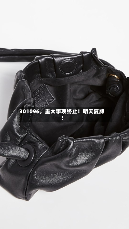301096，重大事项终止！明天复牌！
