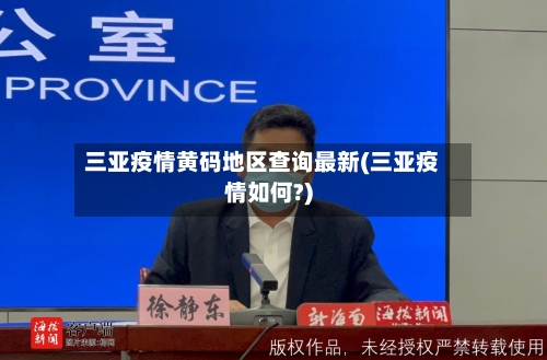三亚疫情黄码地区查询最新(三亚疫情如何?)-第2张图片