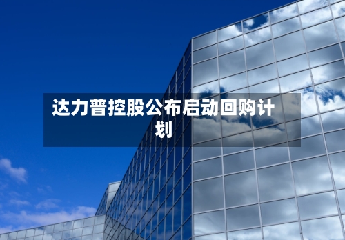 达力普控股公布启动回购计划-第3张图片