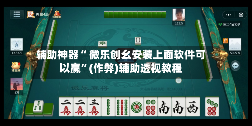 辅助神器“ 微乐创幺安装上面软件可以赢”(作弊)辅助透视教程-第3张图片