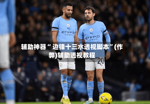 辅助神器“ 边锋十三水透视脚本”(作弊)辅助透视教程-第2张图片