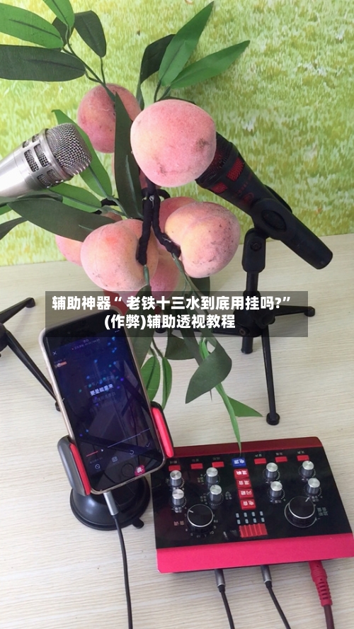 辅助神器“ 老铁十三水到底用挂吗?”(作弊)辅助透视教程