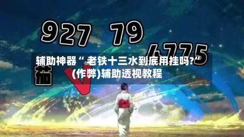 辅助神器“ 老铁十三水到底用挂吗?	”(作弊)辅助透视教程-第2张图片