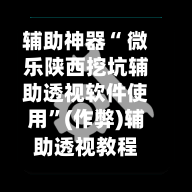 辅助神器“ 微乐陕西挖坑辅助透视软件使用	”(作弊)辅助透视教程-第2张图片