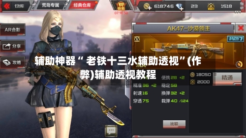 辅助神器“ 老铁十三水辅助透视”(作弊)辅助透视教程-第3张图片