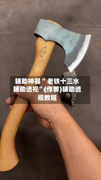 辅助神器“ 老铁十三水辅助透视”(作弊)辅助透视教程-第2张图片