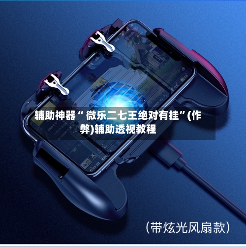 辅助神器“ 微乐二七王绝对有挂”(作弊)辅助透视教程-第3张图片