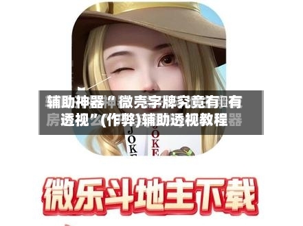 辅助神器“ 微壳字牌究竟有沒有透视”(作弊)辅助透视教程