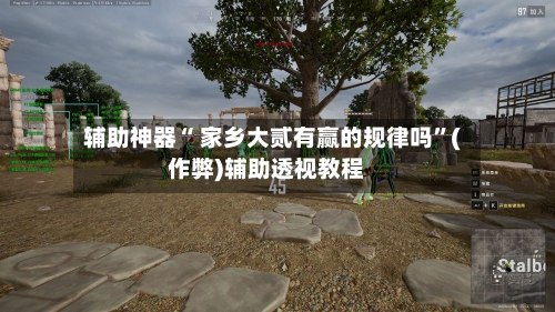 辅助神器“ 家乡大贰有赢的规律吗”(作弊)辅助透视教程-第2张图片