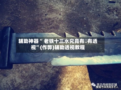 辅助神器“ 老铁十三水究竟有沒有透视”(作弊)辅助透视教程-第2张图片