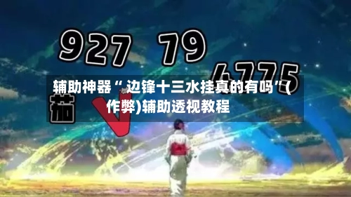 辅助神器“ 边锋十三水挂真的有吗”(作弊)辅助透视教程-第2张图片