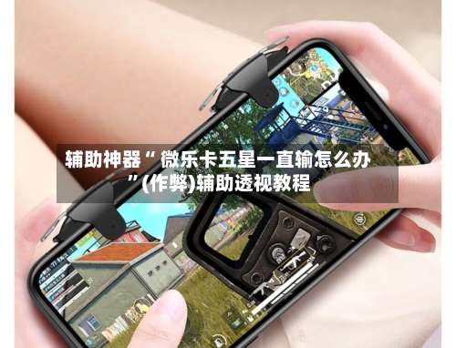 辅助神器“ 微乐卡五星一直输怎么办”(作弊)辅助透视教程-第2张图片