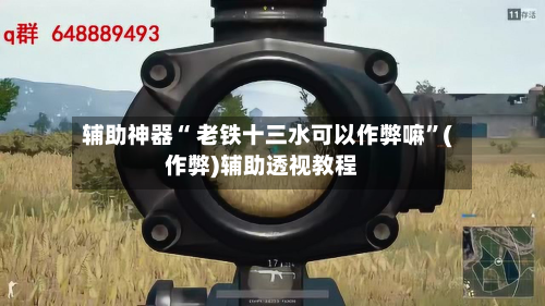 辅助神器“ 老铁十三水可以作弊嘛	”(作弊)辅助透视教程-第2张图片