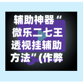辅助神器“ 微乐二七王透视挂辅助方法”(作弊)辅助透视教程-第2张图片