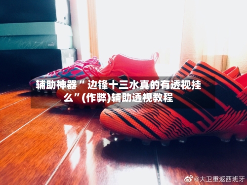 辅助神器“ 边锋十三水真的有透视挂么”(作弊)辅助透视教程-第2张图片