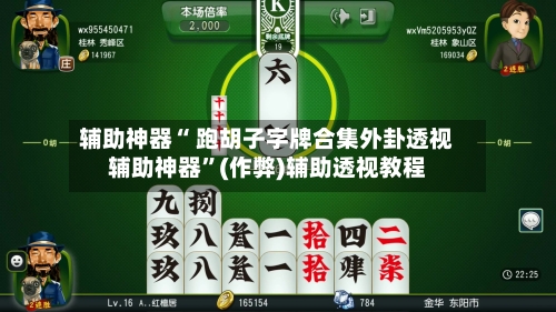 辅助神器“ 跑胡子字牌合集外卦透视辅助神器”(作弊)辅助透视教程-第3张图片