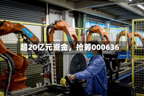 超20亿元资金	，抢筹000636-第2张图片