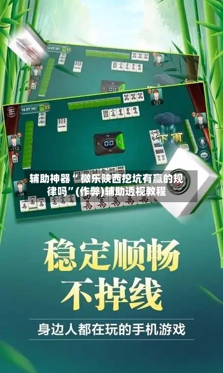 辅助神器“ 微乐陕西挖坑有赢的规律吗”(作弊)辅助透视教程