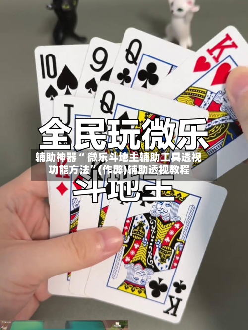 辅助神器“ 微乐斗地主辅助工具透视功能方法”(作弊)辅助透视教程-第2张图片