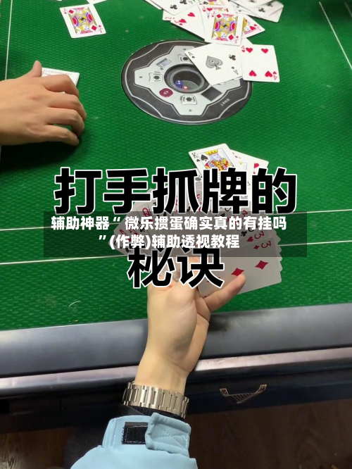 辅助神器“ 微乐掼蛋确实真的有挂吗”(作弊)辅助透视教程-第2张图片