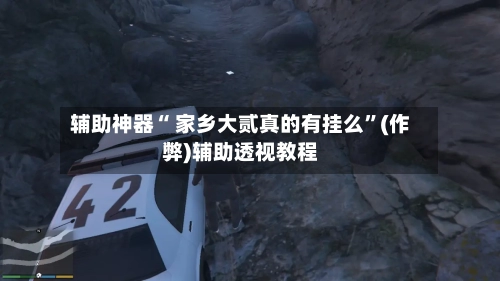 辅助神器“ 家乡大贰真的有挂么”(作弊)辅助透视教程