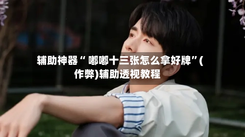 辅助神器“ 嘟嘟十三张怎么拿好牌	”(作弊)辅助透视教程-第2张图片