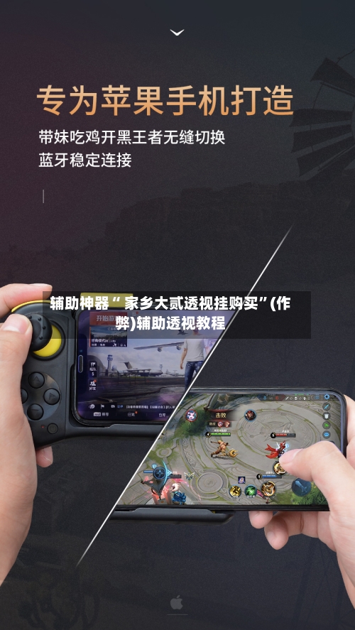 辅助神器“ 家乡大贰透视挂购买”(作弊)辅助透视教程