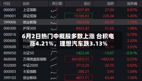 6月2日热门中概股多数上涨 台积电涨4.21%，理想汽车跌3.13%-第3张图片