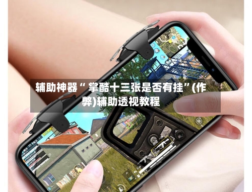 辅助神器“ 掌酷十三张是否有挂”(作弊)辅助透视教程-第3张图片