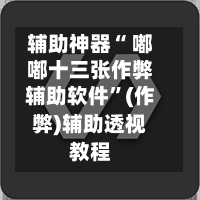 辅助神器“ 嘟嘟十三张作弊辅助软件”(作弊)辅助透视教程-第2张图片
