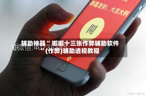 辅助神器“ 嘟嘟十三张作弊辅助软件”(作弊)辅助透视教程-第3张图片