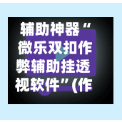 辅助神器“ 微乐双扣作弊辅助挂透视软件”(作弊)辅助透视教程-第2张图片