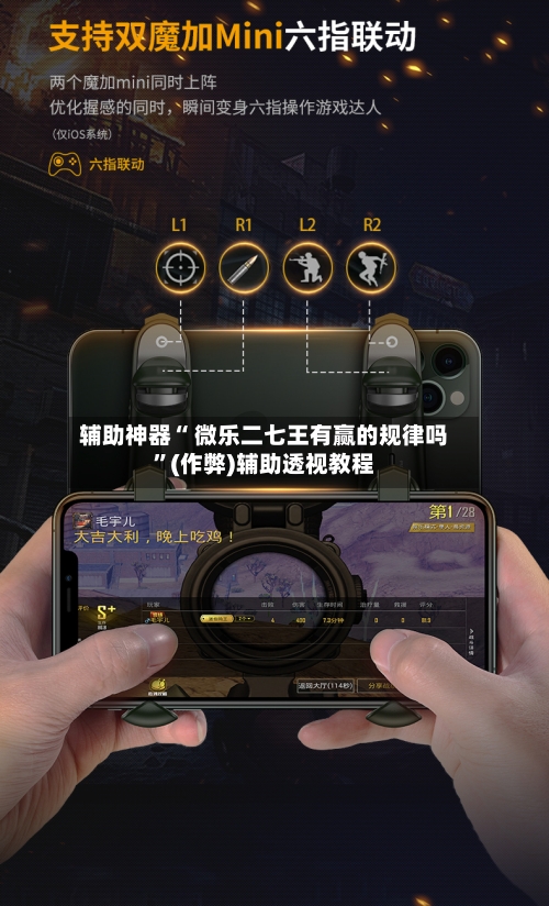 辅助神器“ 微乐二七王有赢的规律吗”(作弊)辅助透视教程-第2张图片
