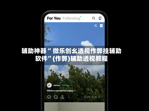 辅助神器“ 微乐创幺透视作弊挂辅助软件”(作弊)辅助透视教程-第2张图片