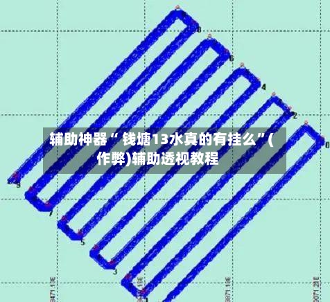 辅助神器“ 钱塘13水真的有挂么”(作弊)辅助透视教程-第3张图片