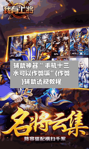 辅助神器“ 手机十三水可以作弊嘛”(作弊)辅助透视教程-第3张图片